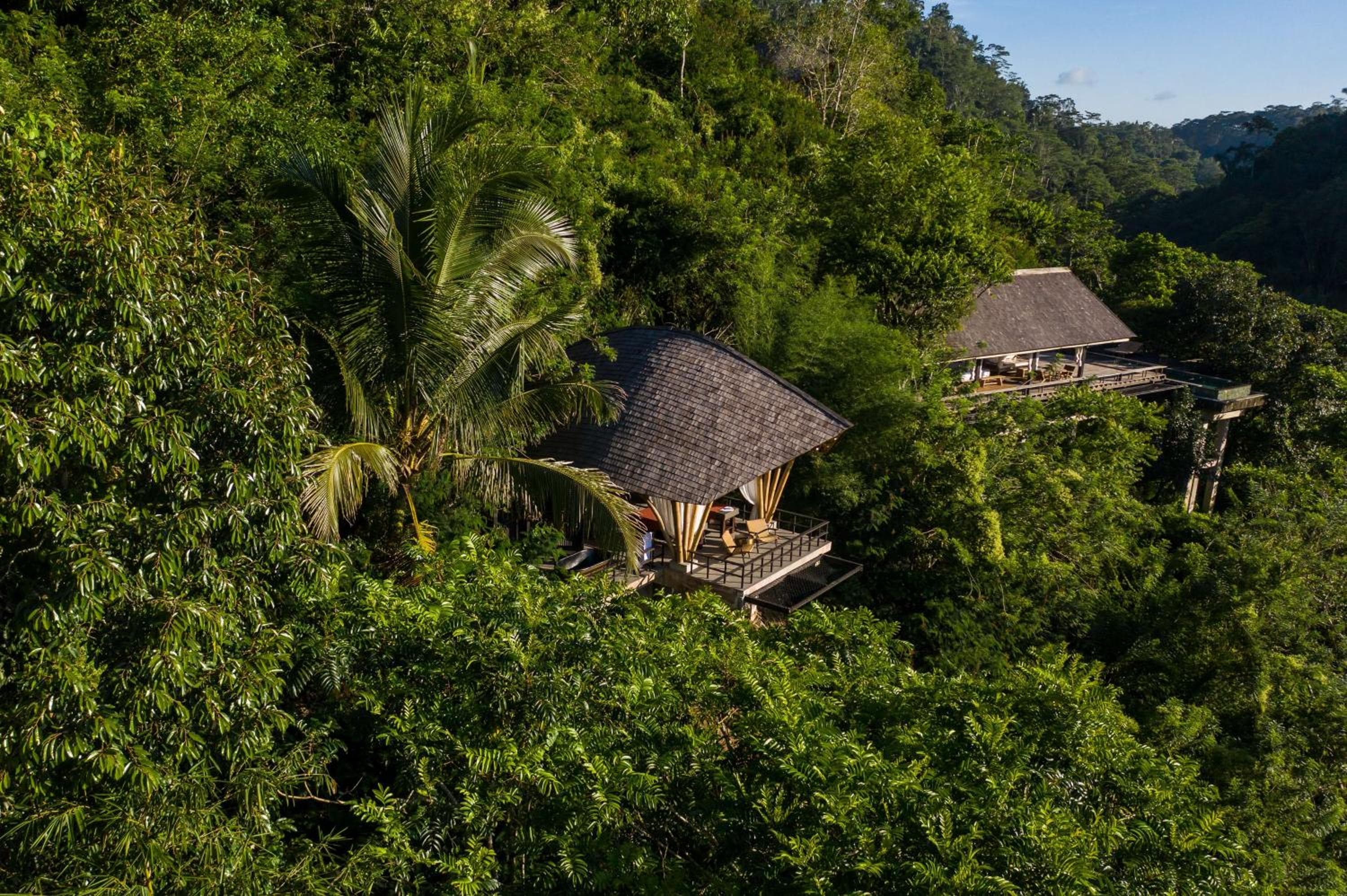 buahan, a banyan tree escape