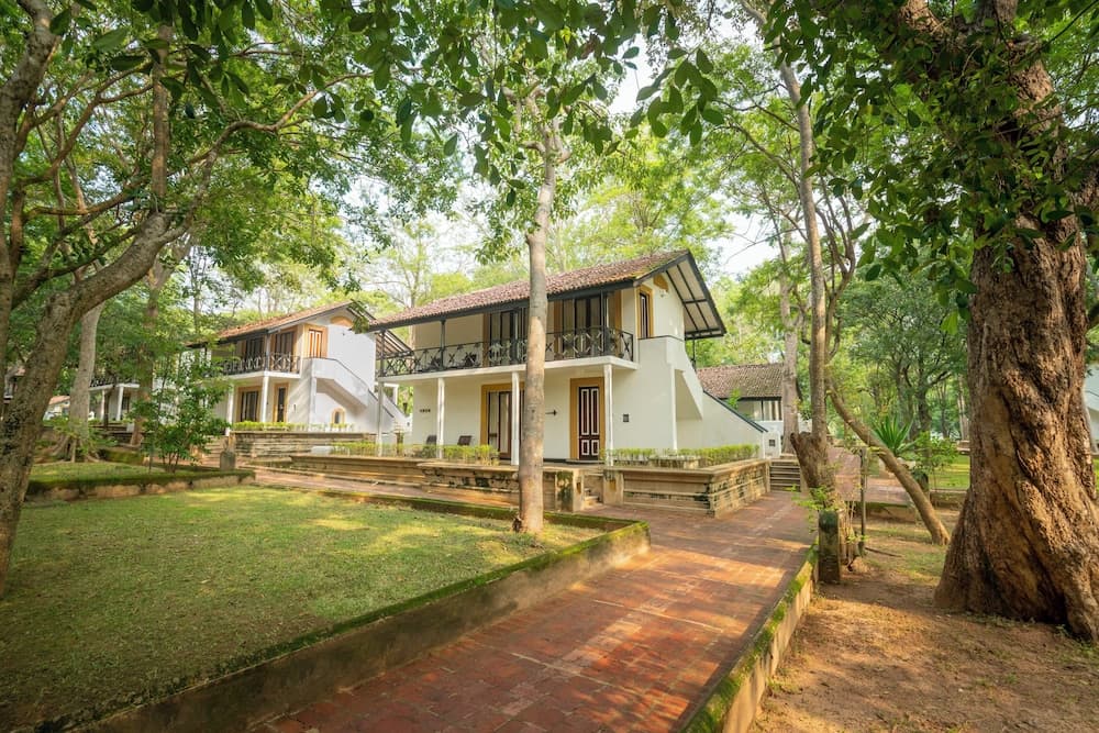 cinnamon lodge