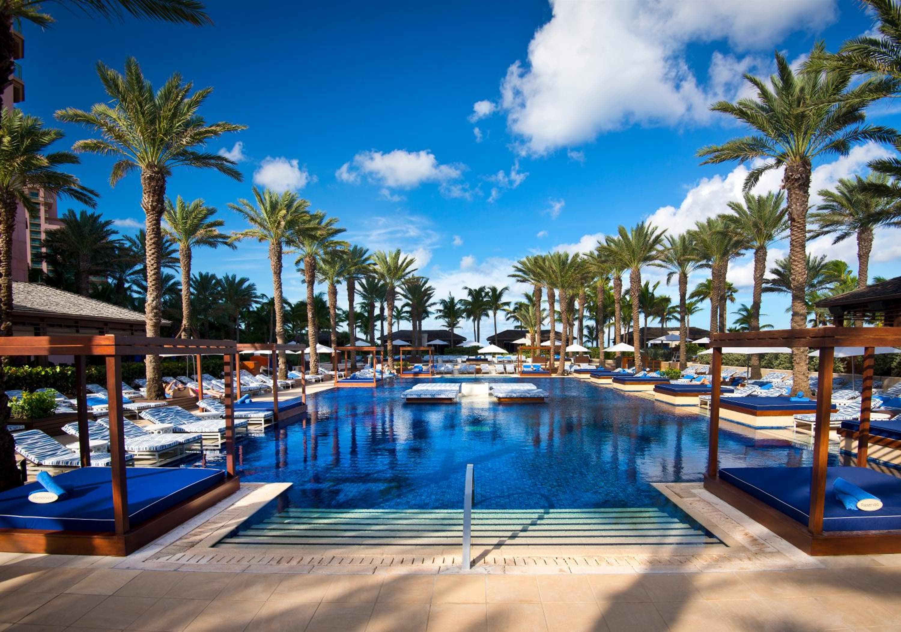 the cove at atlantis