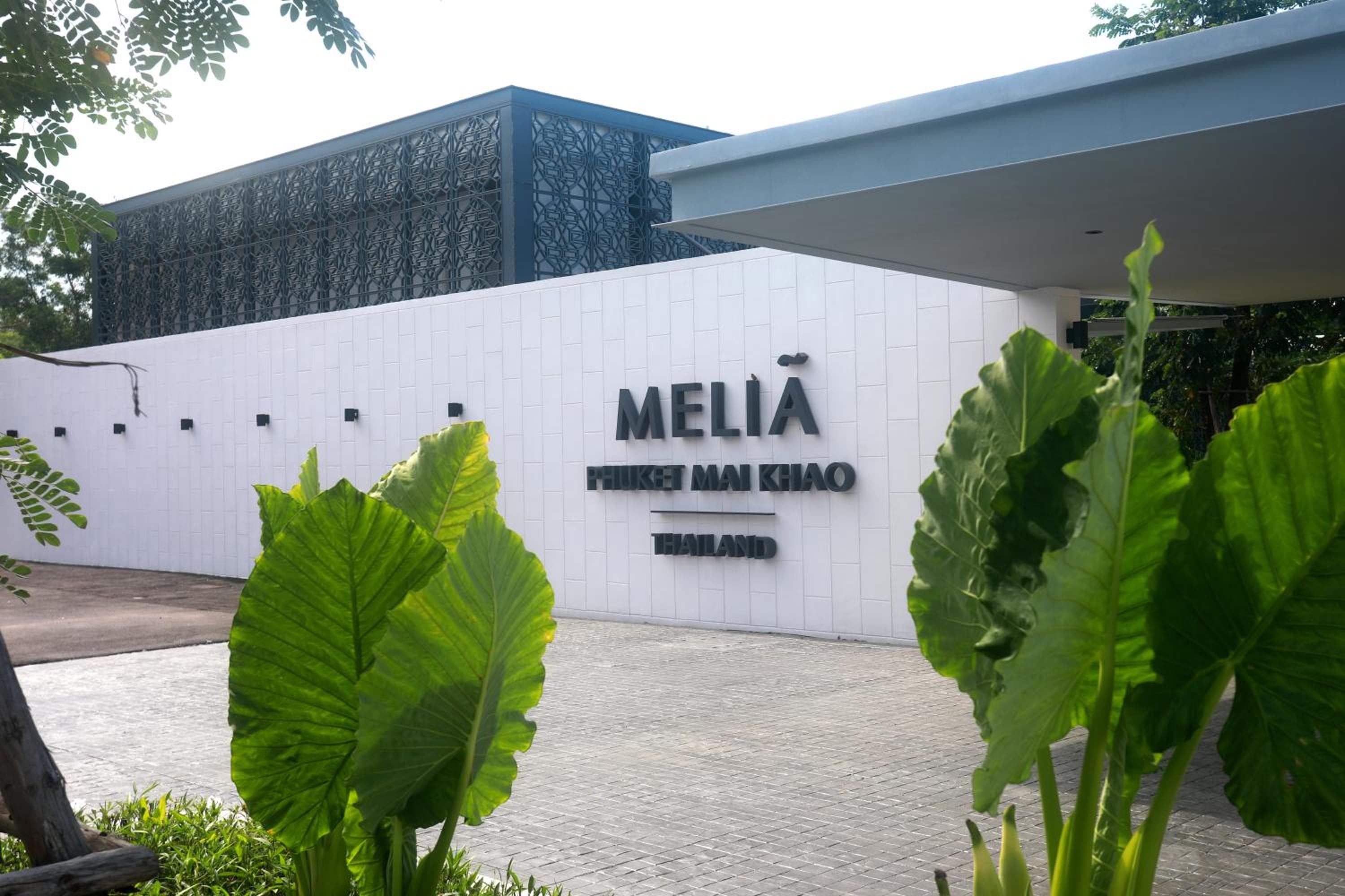 melia mai khao