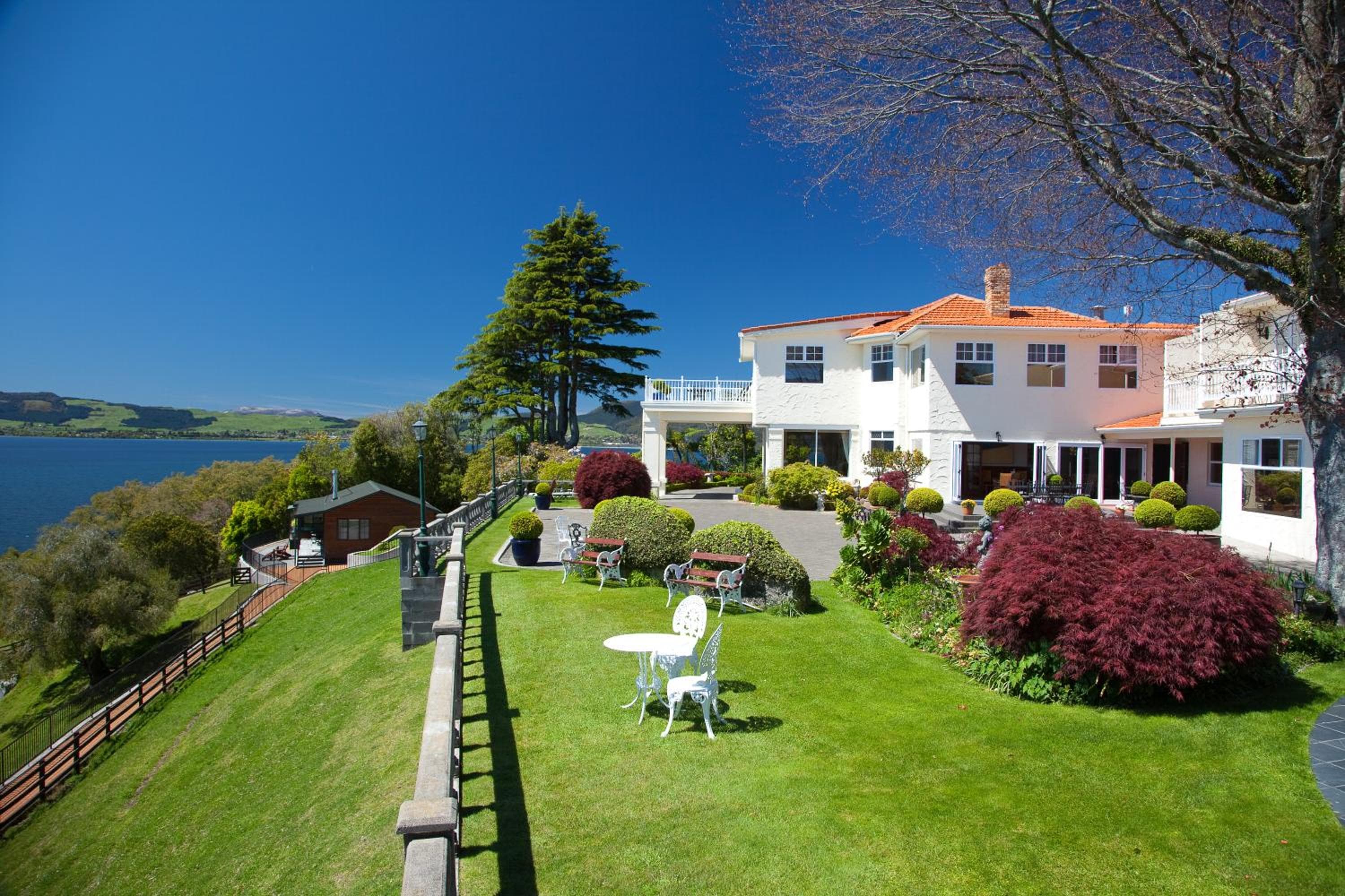 on the point - lake rotorua