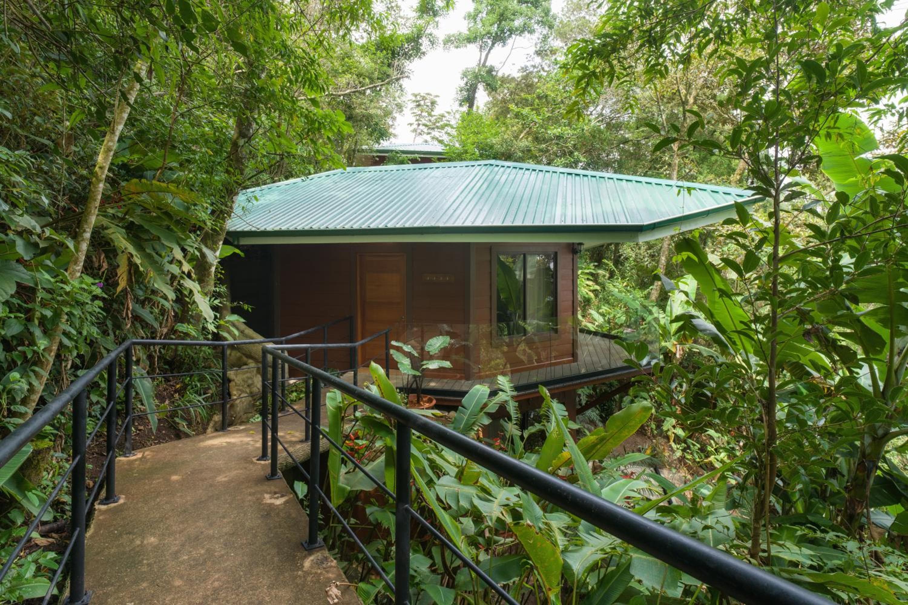 koora, a cloud forest hotel by sandglass