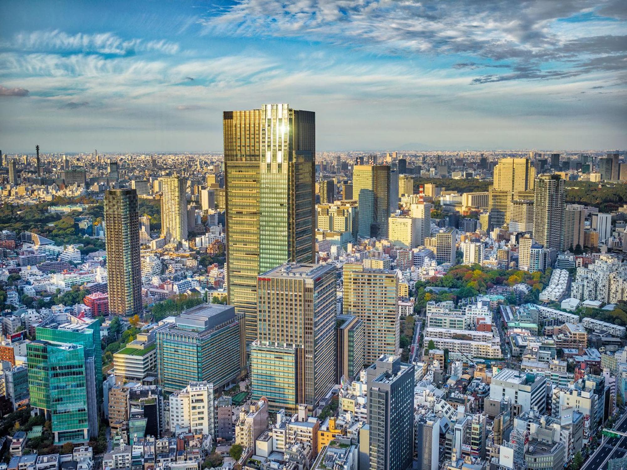 the ritz-carlton, tokyo