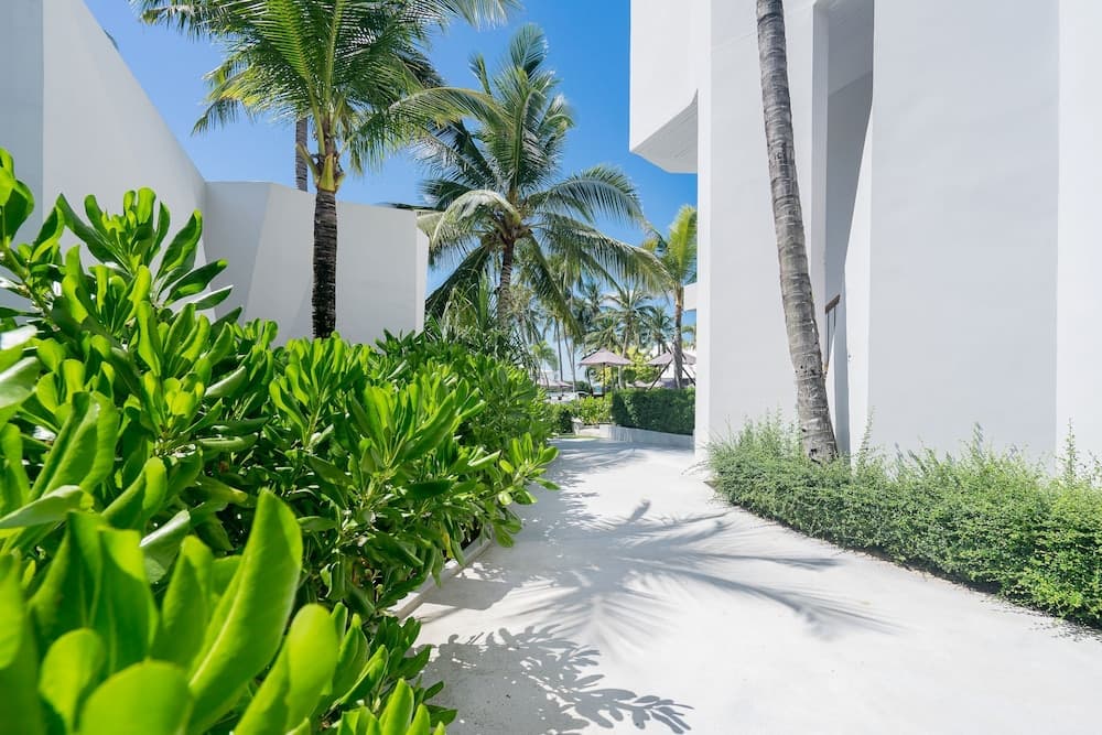 la vida samui